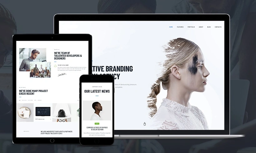 Web Development Services